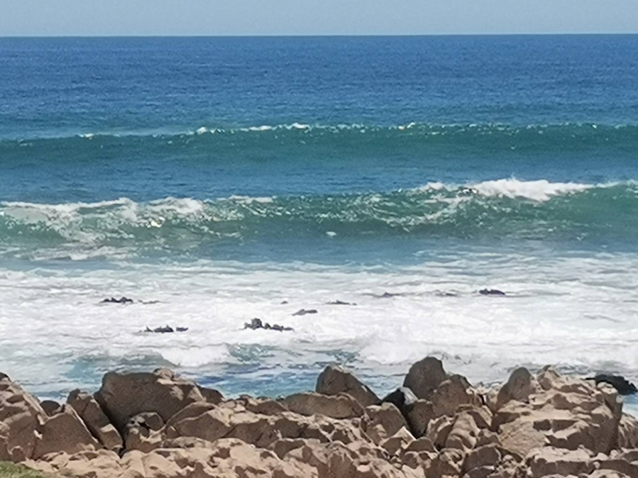 To Let 2 Bedroom Property for Rent in Seaview Eastern Cape